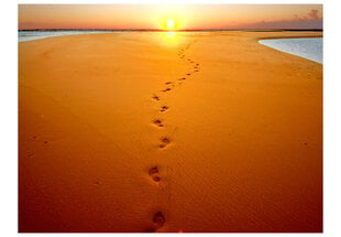 Fototapetas - Footprints in the sand kaina ir informacija | Fototapetai | pigu.lt