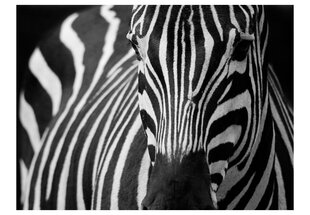 Fototapetas - White with black stripes цена и информация | Фотообои | pigu.lt