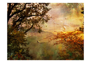 Fototapetas - Painted autumn цена и информация | Фотообои | pigu.lt