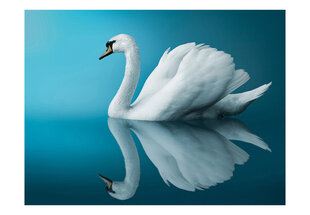 Fototapetas - swan - reflection kaina ir informacija | Fototapetai | pigu.lt