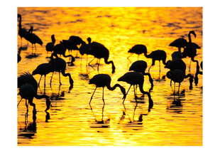 Fototapetas - Kenya: flamingos by the lake Nakuru kaina ir informacija | Fototapetai | pigu.lt