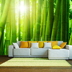 Fototapetas - Sun and bamboo цена и информация | Фотообои | pigu.lt