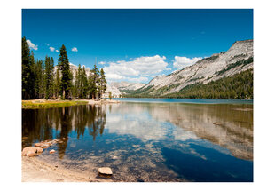 Fototapetas - Tenaya Lake - Yosemite National Park kaina ir informacija | Fototapetai | pigu.lt