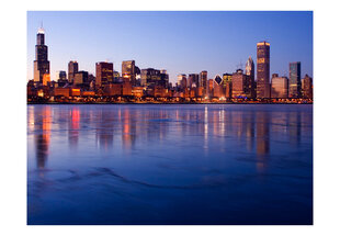 Fototapetas - Icy Downtown Chicago цена и информация | Фотообои | pigu.lt