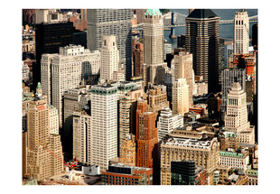 Fototapetas - skyscrapers, Manhattan kaina ir informacija | Fototapetai | pigu.lt