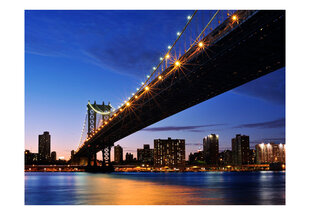 Fototapetas - Manhattan Bridge illuminated at night kaina ir informacija | Fototapetai | pigu.lt