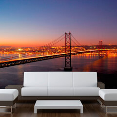 Fototapetas - Bay Bridge - San Francisco kaina ir informacija | Fototapetai | pigu.lt