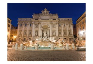 Fototapetas - Trevi Fountain - Rome kaina ir informacija | Fototapetai | pigu.lt