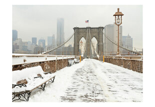 Fototapetas - Snow-covered bridge in New York kaina ir informacija | Fototapetai | pigu.lt