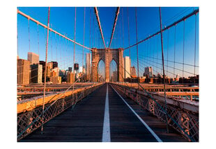 Fototapetas - On the way to Manhattan цена и информация | Фотообои | pigu.lt