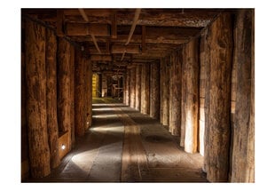 Fototapetas - Wooden passage цена и информация | Фотообои | pigu.lt