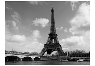 Fototapetas - Seine and Eiffel Tower kaina ir informacija | Fototapetai | pigu.lt