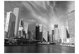 Fototapetas - Chicago skyline (black and white) цена и информация | Фотообои | pigu.lt