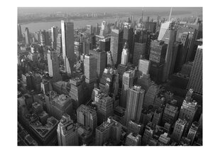 Fototapetas - New York: skyscrapers (bird's eye view) kaina ir informacija | Fototapetai | pigu.lt