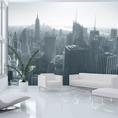Fototapetas - New York City skyline black and white kaina ir informacija | Fototapetai | pigu.lt