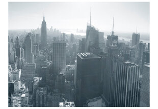 Fototapetas - New York City skyline black and white kaina ir informacija | Fototapetai | pigu.lt