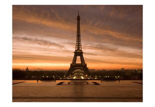 Fototapetas - Eiffel tower at dawn цена и информация | Фотообои | pigu.lt