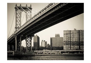 Fototapetas - Manhattan Bridge, New York цена и информация | Фотообои | pigu.lt