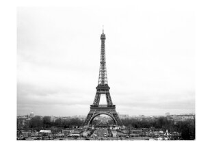 Fototapetas - Paris: black and white photography kaina ir informacija | Fototapetai | pigu.lt