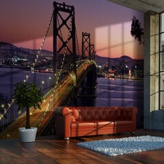 Fototapetas - Charming evening in San Francisco цена и информация | Фотообои | pigu.lt