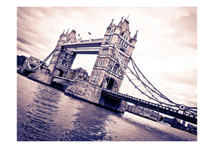 Fototapetas - Tower Bridge kaina ir informacija | Fototapetai | pigu.lt
