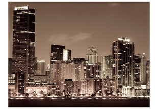 Fototapetas - Night life in Miami kaina ir informacija | Fototapetai | pigu.lt