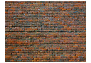 Fototapetas - Brick wall kaina ir informacija | Fototapetai | pigu.lt