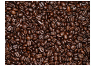 Fototapetas - Coffee beans цена и информация | Фотообои | pigu.lt