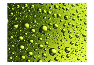 Fototapetas - Water drops on the bottle of beer kaina ir informacija | Fototapetai | pigu.lt