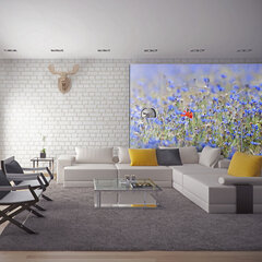Fototapetas - A sky-colored meadow - cornflowers kaina ir informacija | Fototapetai | pigu.lt