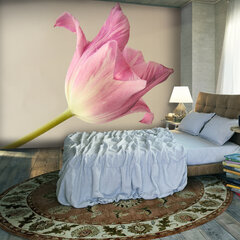 Fototapetas - Pink tulip цена и информация | Фотообои | pigu.lt