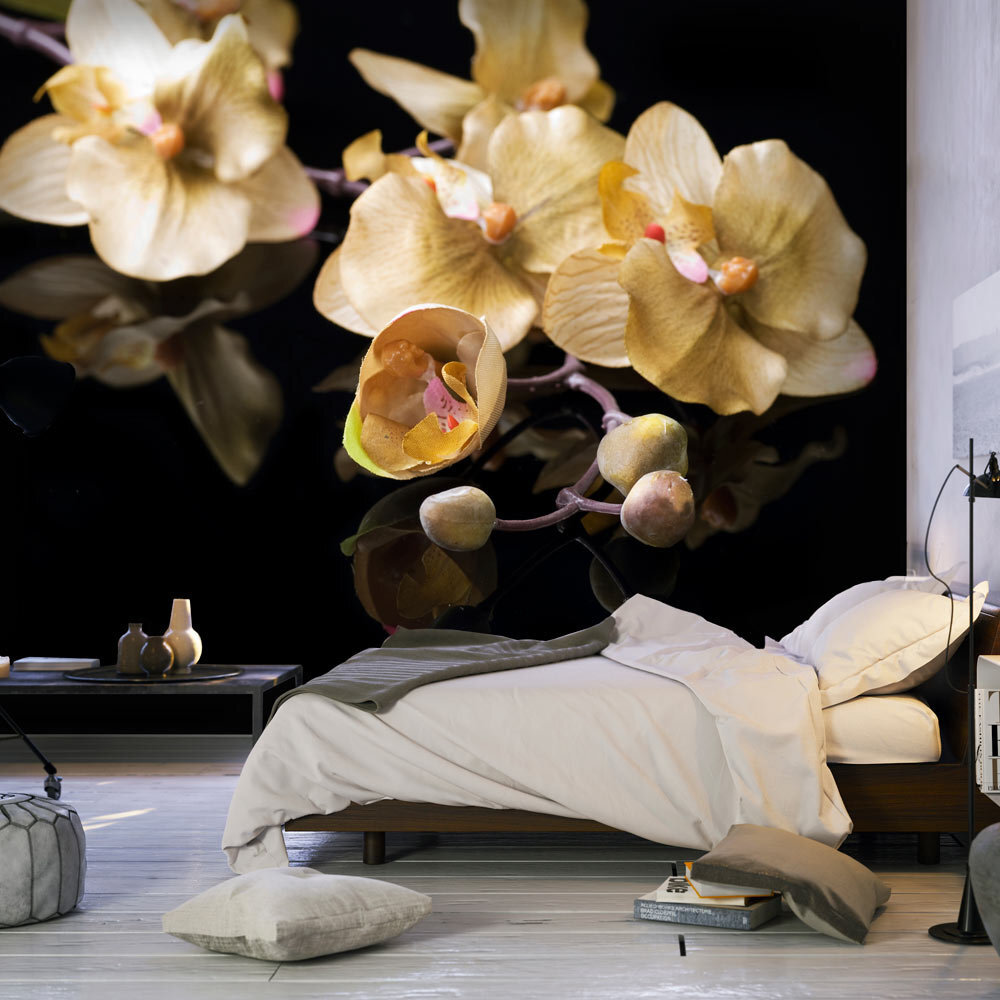 Fototapetas - Orchids in ecru color kaina ir informacija | Fototapetai | pigu.lt