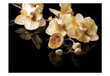 Fototapetas - Orchids in ecru color kaina ir informacija | Fototapetai | pigu.lt