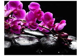 Fototapetas - Relaxing moment: orchid flower and stones kaina ir informacija | Fototapetai | pigu.lt