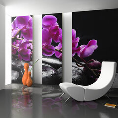 Fototapetas - Relaxing moment: orchid flower and stones kaina ir informacija | Fototapetai | pigu.lt