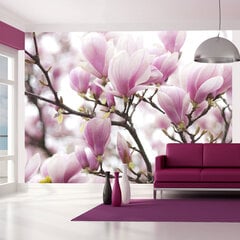 Fototapetas - Magnolia bloosom цена и информация | Фотообои | pigu.lt