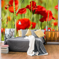 Fototapetas - Cereal field with poppies цена и информация | Фотообои | pigu.lt