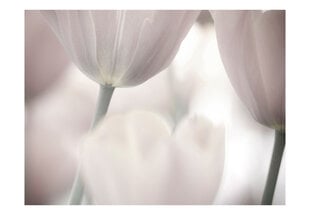 Fototapetas - Tulips fine art - black and white цена и информация | Фотообои | pigu.lt