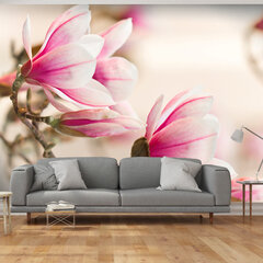 Fototapetas - Branch of magnolia tree цена и информация | Фотообои | pigu.lt
