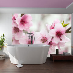 Fototapetas - Spring, blooming tree - pink flowers цена и информация | Фотообои | pigu.lt