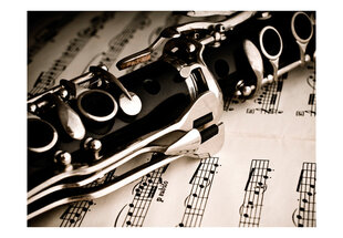 Fototapetas - Clarinet and music notes цена и информация | Фотообои | pigu.lt