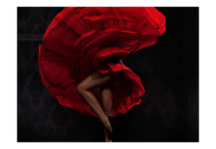 Fototapetas - Flamenco dancer цена и информация | Фотообои | pigu.lt