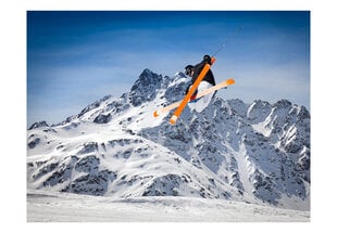 Fototapetas - Mountain ski цена и информация | Фотообои | pigu.lt