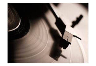 Fototapetas - Gramophone and vinyl record kaina ir informacija | Fototapetai | pigu.lt