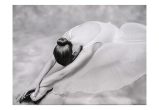 Fototapetas - photo: ballerina цена и информация | Фотообои | pigu.lt