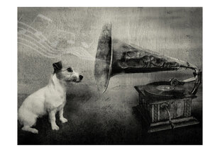 Fototapetas - Dog's melodies kaina ir informacija | Fototapetai | pigu.lt