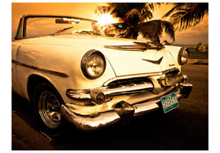 Fototapetas - Viva Havana! цена и информация | Фотообои | pigu.lt