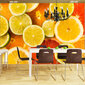 Fototapetas - Citrus fruits kaina ir informacija | Fototapetai | pigu.lt