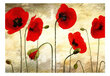 Fototapetas - Golden Field of Poppies kaina ir informacija | Fototapetai | pigu.lt