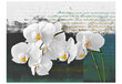 Fototapetas - Orchid - poet's inspiration kaina ir informacija | Fototapetai | pigu.lt